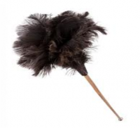 feather-dusters